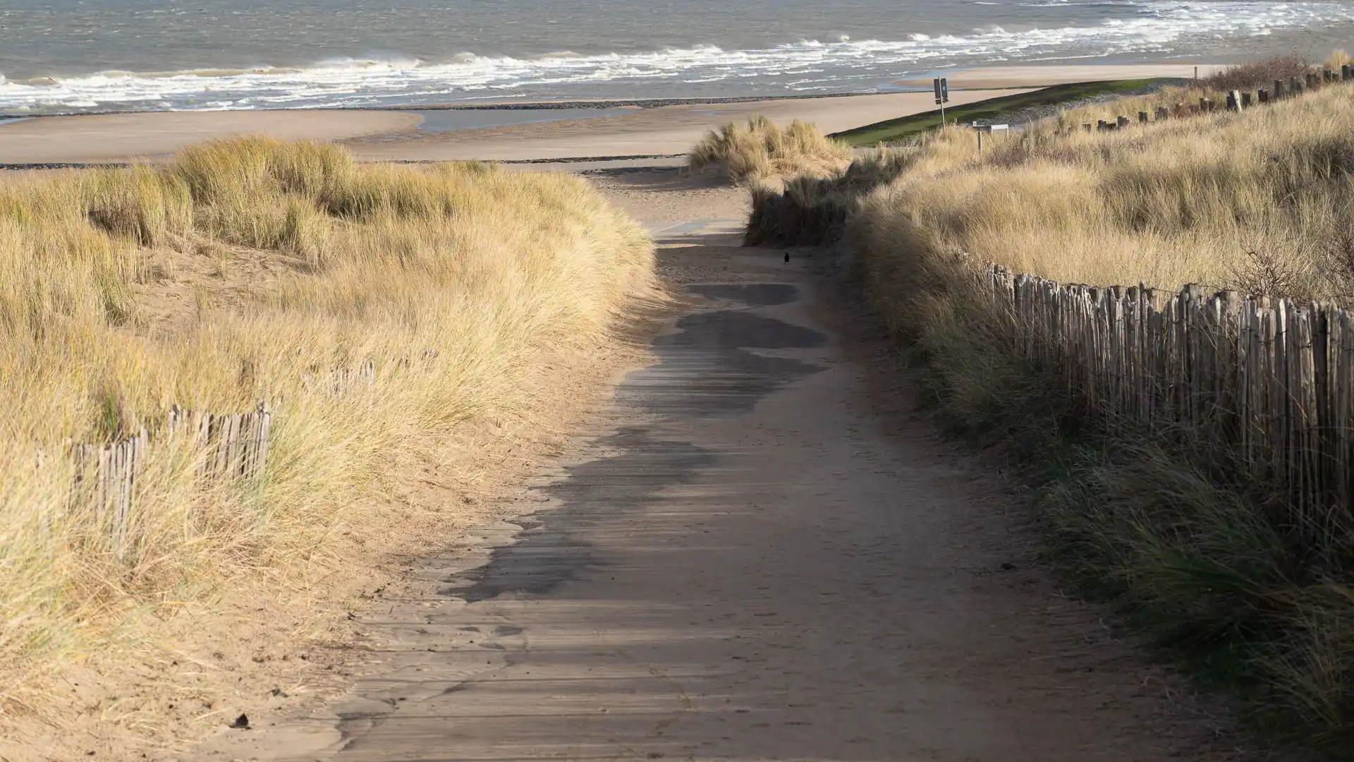 Wandelpad door de duinen naar het strand bij Groede