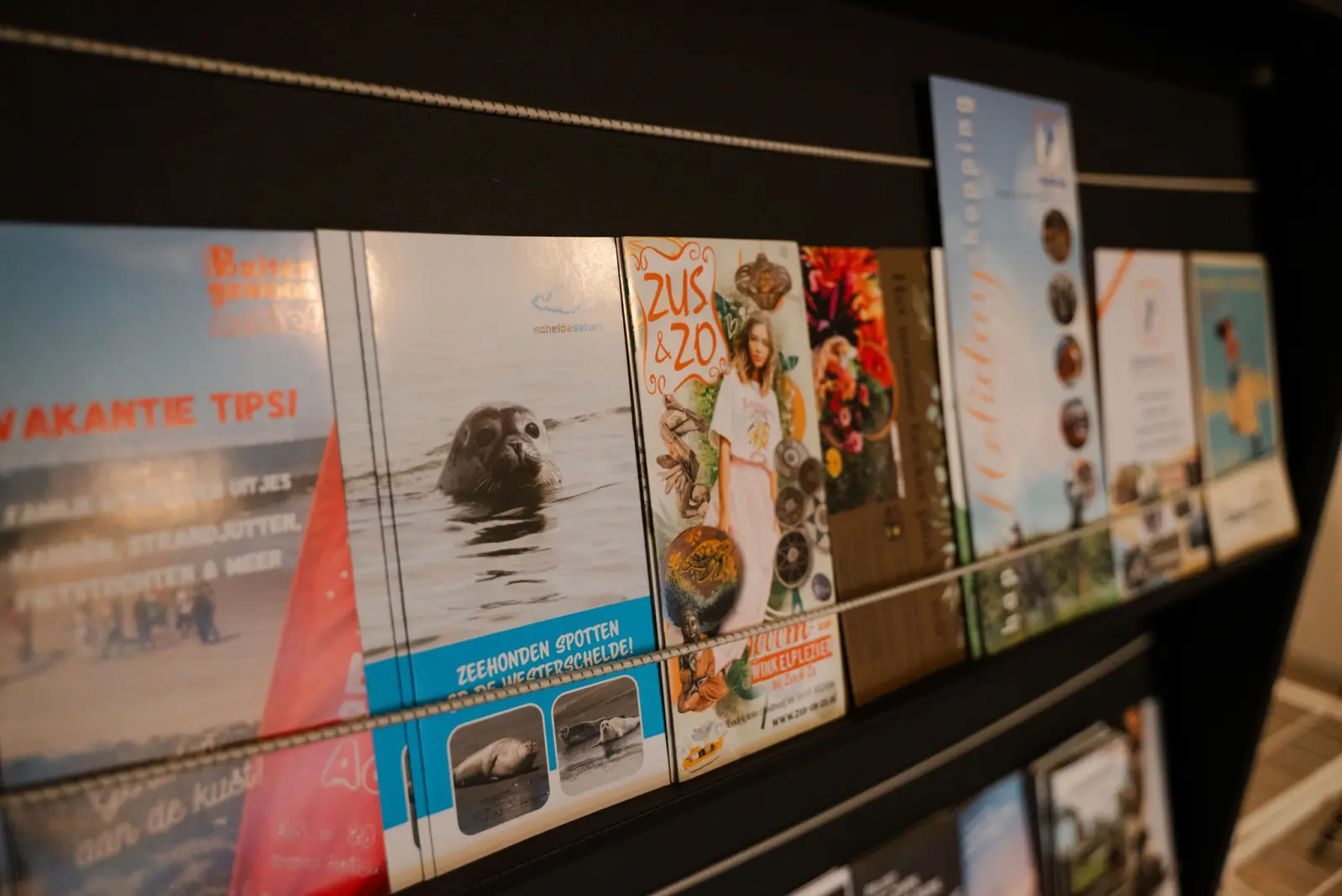 Folders & tips voor de omgeving
